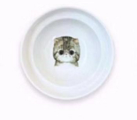 Alpha Paw – Elite Pet Bowl 🐾